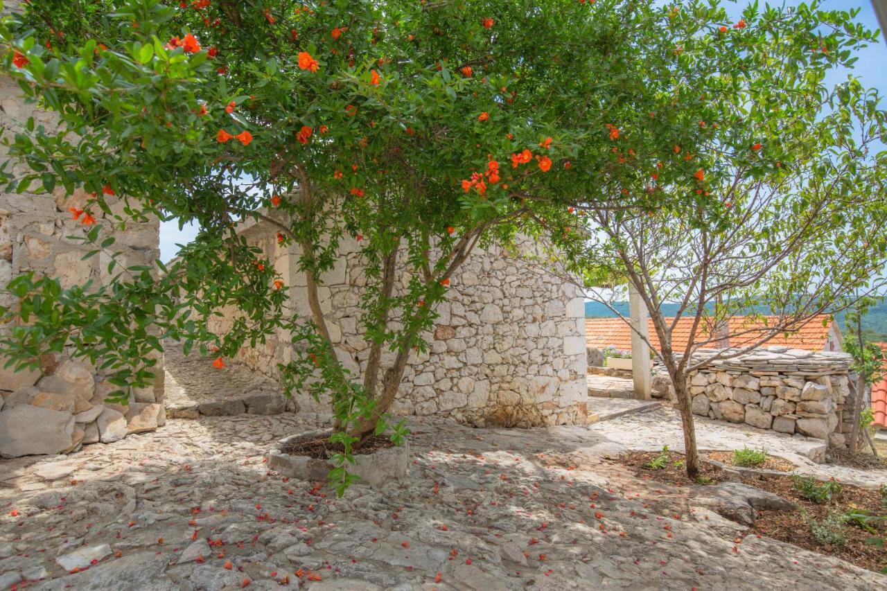 Dalmatian Stone House Rogoznica (Sibenik-Knin) Exterior foto
